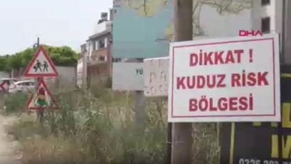 Hatay'da kuduz alarmı: 2 mahalle karantinaya alındı