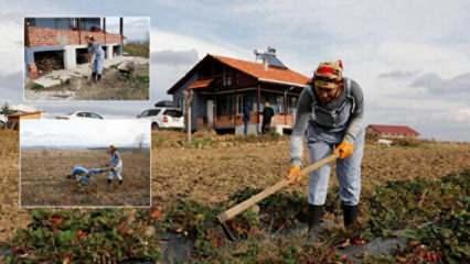 43 yaşındaki Birsen, Samsun'da çilek ve aronya yetiştirmeye başladı