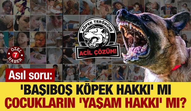 Asıl soru: 'Başıboş köpek hakkı' mı, çocukların 'yaşam hakkı' mı?