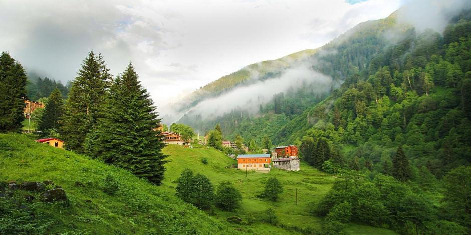 Karadeniz'in en yeşil köşelerinden biri Ayder Yaylası