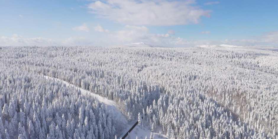 Bembeyaz bir rüya: Bolu