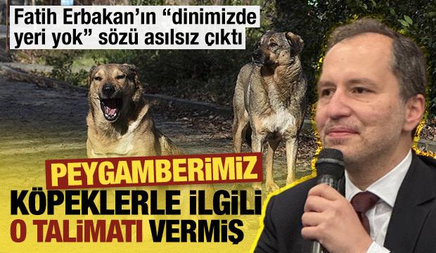 Fatih Erbakan'ın sözü asılsız çıktı! Peygamberimiz köpeklerle ilgili o talimatı vermiş