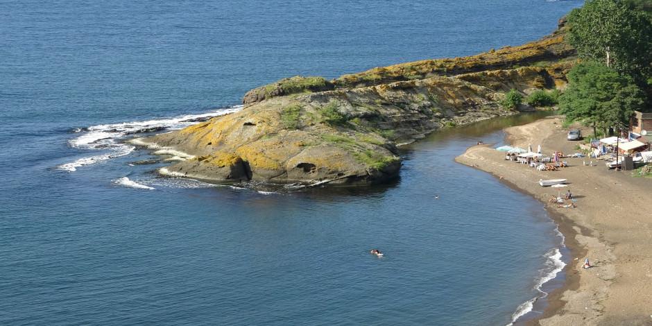 Karadeniz'in Timsah Adası görenleri şaşırtıyor