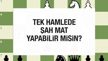 Satranç bulmacası #7: Tek hamlede beyaz şahı devre dışı bırakabilir misin?