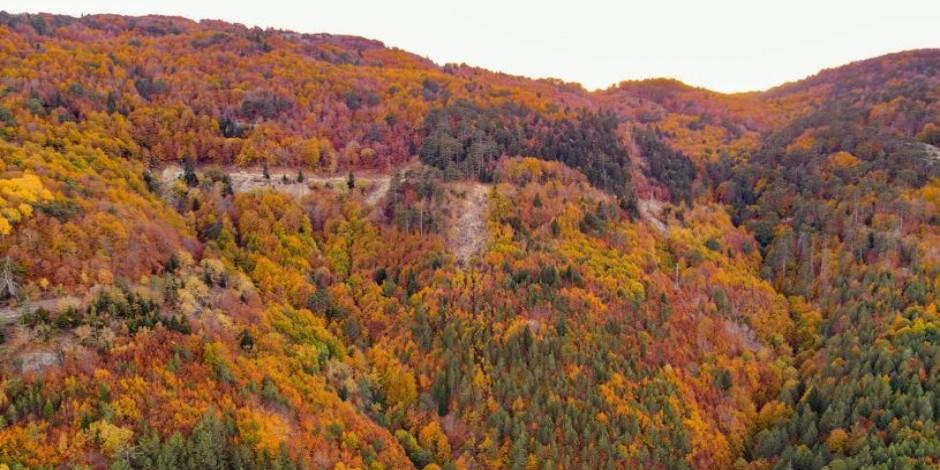 Sonbaharın yeni adresi: Kırksu Yaylası