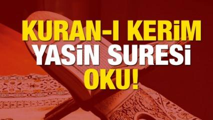 Yasin suresi oku! Yasin suresi okunuşu (bilgisayar hatlı) - Yasin Suresi Arapça