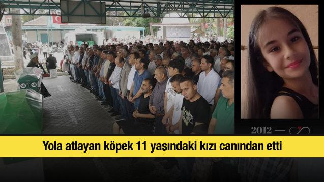 Yola atlayan köpek 11 yaşındaki kızı canından etti